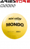 Mondo Mini Volley