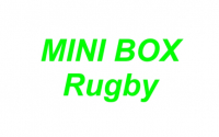 Mini Box Rugby